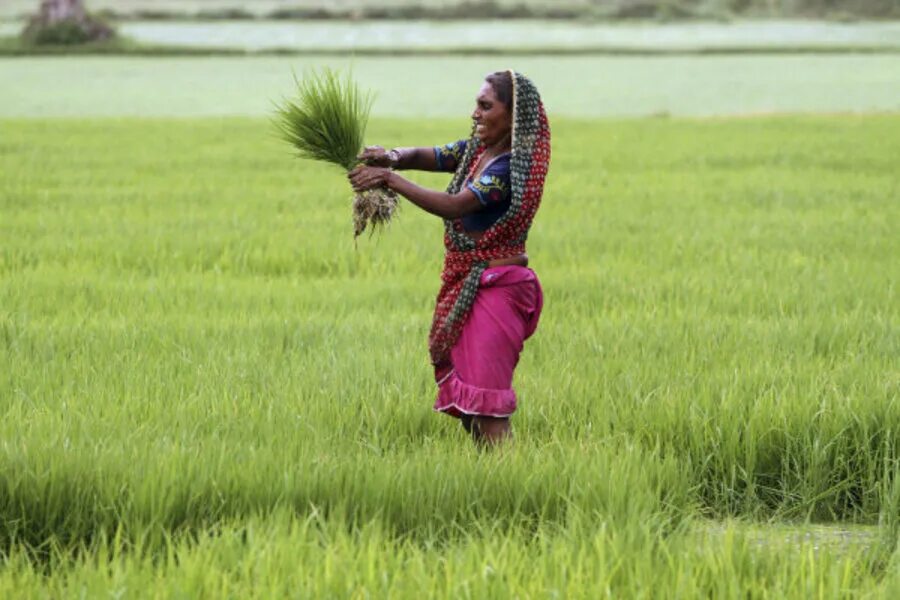 Give land. Ministry of Agriculture of India. Women in Agriculture in India. Ministry of Agriculture and Farmers Welfare. Women Farmers in Meghalaya.