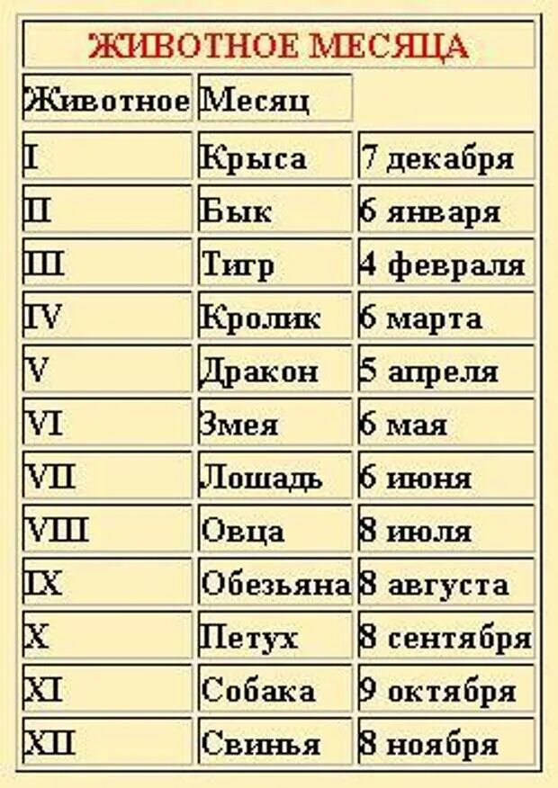 Гороскоп по месяцам. Китайский гороскоп по месяцам. Месяца гороскоп по месяцам. Гороскоп по месяцам по знакам. Знаки зодиака по месяцу рождения таблица