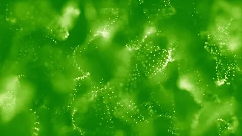 Green moving