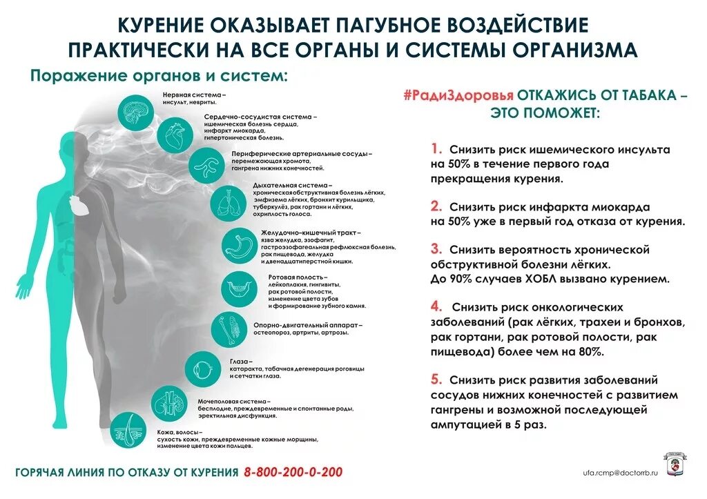 На мужчин оказывает влияние. Факторы оказывающие воздействие на персонал в организации. На мужчин оказывает влияние. Факторы оказывающие воздействие на персонал в организации. Влияние физических упражнений на нервную систему человека.