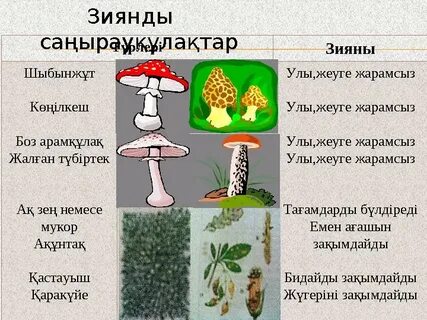 Ауылдағы секс