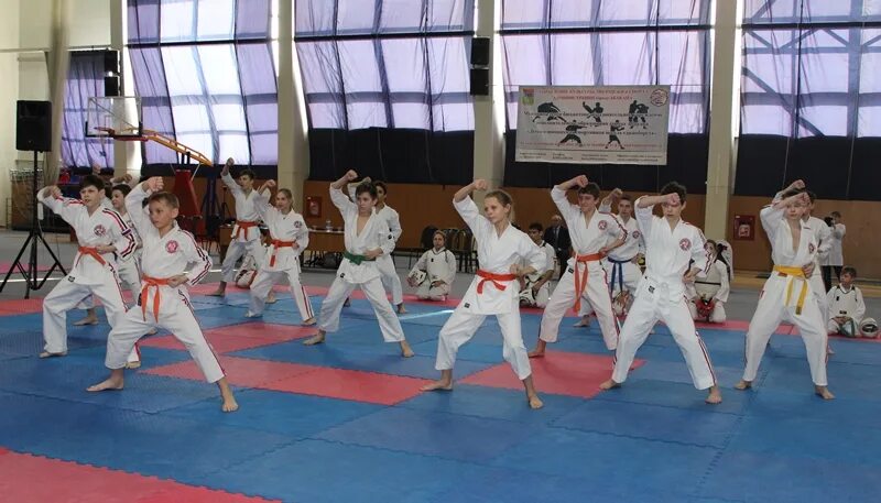 Виктория ветрова каратэ абакан. Хакасы боевые искусства. Единоборства абакан. Единоборства абакан. Мма хакасия федерация хакасия.