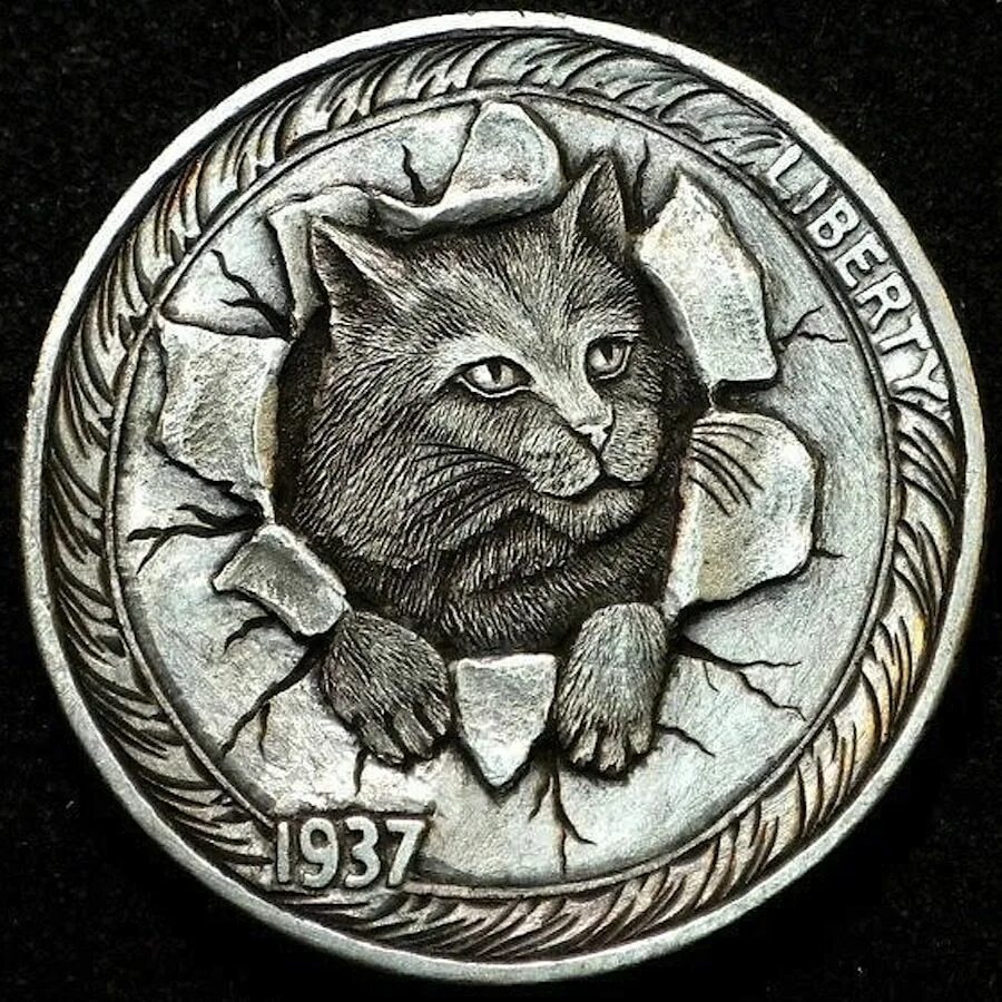 Кот монетку. Монета с котами. кот с монетами. монеты с изображением кошек. монеты с изображением медведя.