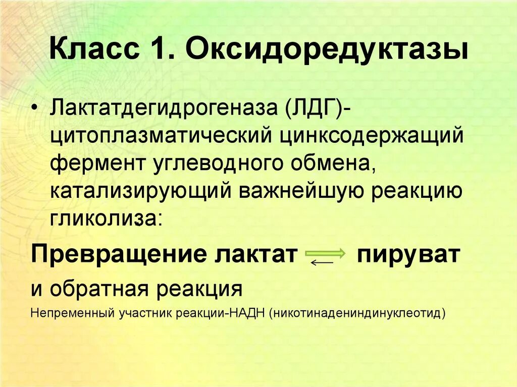 Фермент лдг. К какому классу ферментов относится лактатдегидрогеназа. Фермент лактатдегидрогеназа. Лактатдегидрогеназа класс фермента. Фермент лактатдегидрогеназа относится к классу.