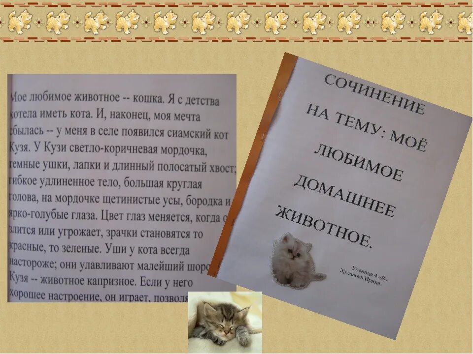 Текст описание кошки 2 класс. Сочинение про домашних животных. Сочинение про кошку. Рассказ о домашнем животном. Саченениодамашних-животных.