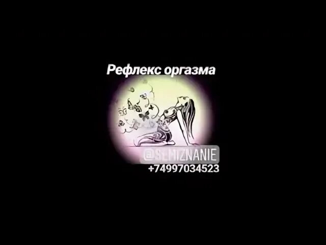 Практика рефлекс