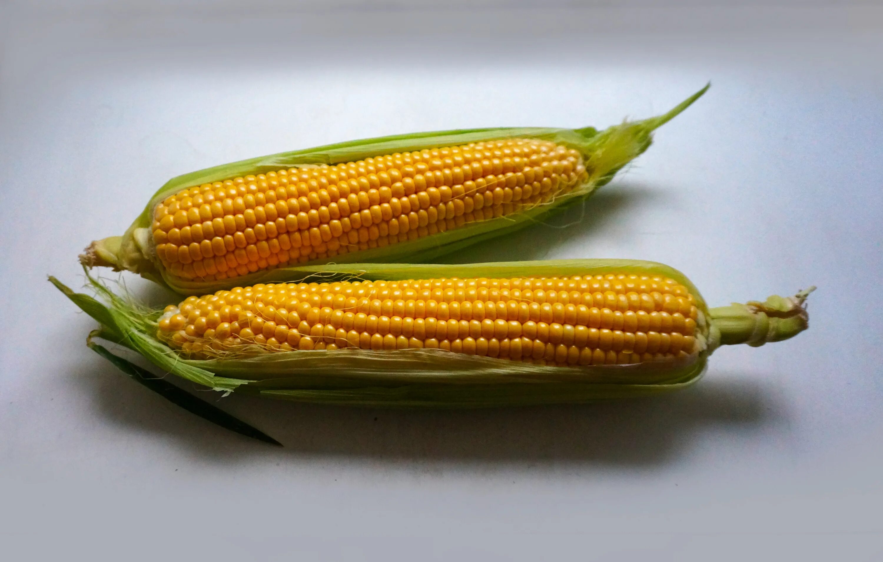 Corn 40. 150 грамм попкорна. Sebero corn 40 г. Кукуруза сладкая. Кукуруза с волосами.