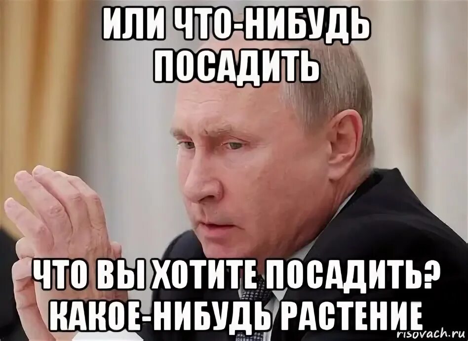 Почему хотят посадить. Мемы про растения. День «посади что-нибудь». Мемы про цветы. Цветы Мем.