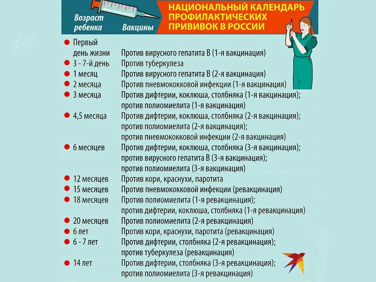 Национальный календарь прививок для детей до 1 года в РФ. Календарь прививок до года таблица Россия. Вакцинация детей календарь прививок в России 2020. Календарь профилактических прививок для детей таблица.