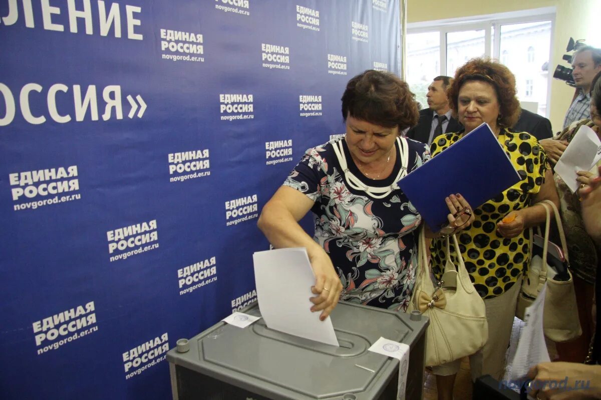 Выборы новгородский район
