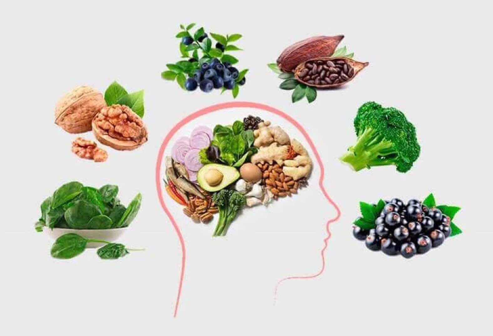 Продукты для мозга. Продукты полезные для мозга. Полезные продукты питания. Продукты для головного мозга. Продукты для мозга и памяти взрослым