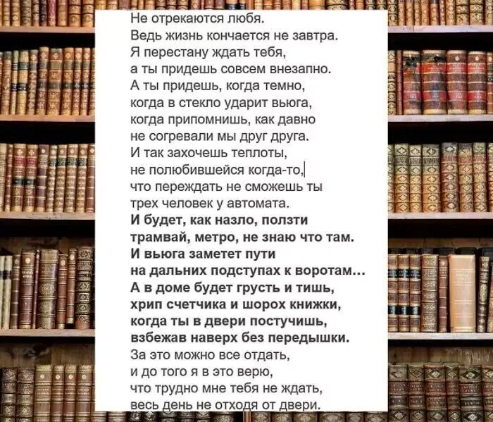 Кончаться внезапно. Не отрекаются любя Автор стихотворения. Стих не отрекаются любя текст. Отрекаются любя стихи. Слова песни не отрекаются любя текст песни.