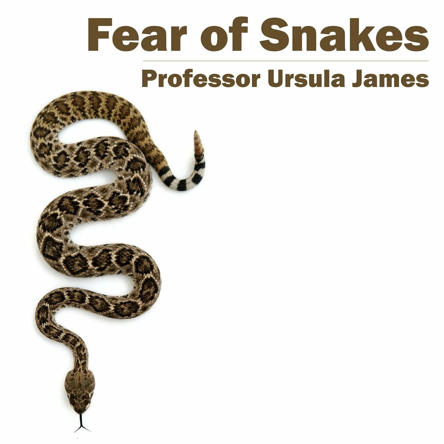 Snake mp3. Fear of snakes картинки на английском языке. ylham snake mp3.