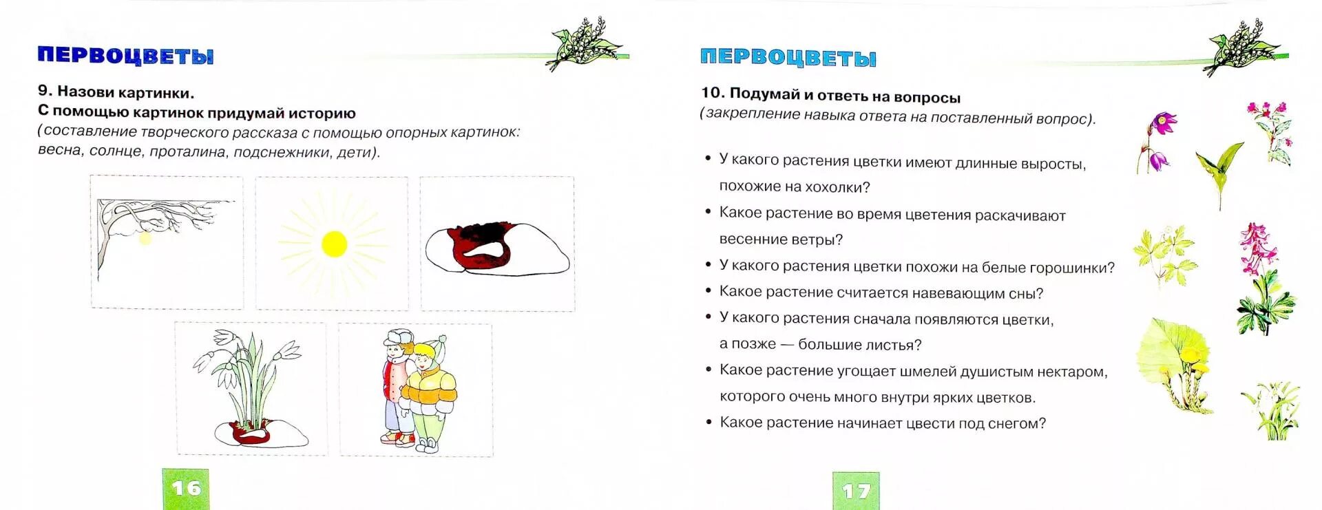 Цветы задание логопеда для дошкольников. Растения весной задания для дошкольников. Цветы логопедические задания для дошкольников. Растения задания для дошкольников. Планирование первоцветы подготовительная группа