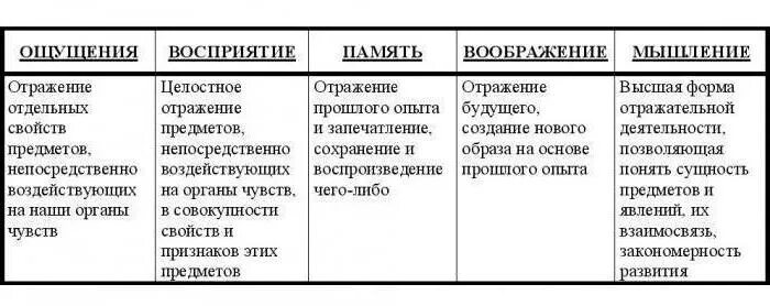 Что учитывает периодизация возрастов детей?