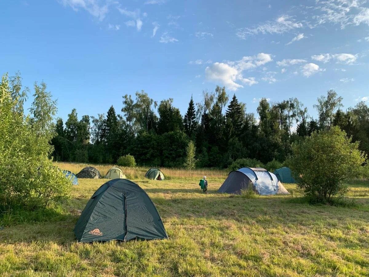 Camping в подмосковье. Мартьянково кемпинг. Ферма Мартьянково. Кемпинг Пушкинский район. Лагерь Мартьянково.