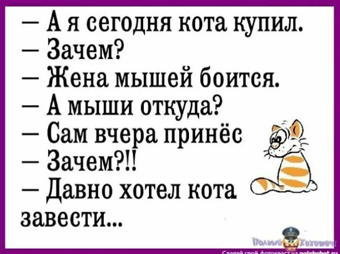 Берем сначала укропу текст. Стишок про плов матерный. Кота завел мышей боится. Жена мышей боится кота завел. Стихотворение про плов.