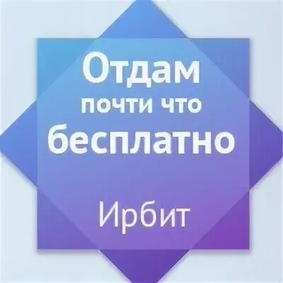 Отдам ирбит. Собака тина. Магазин азбука ирбит. Отдам ирбит. Дхш ирбит.