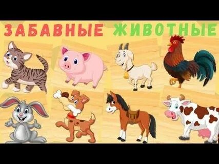 Учим животных 1 год