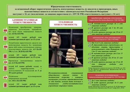 Полная административная и уголовная ответственность