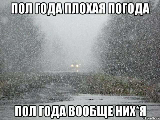 информационное табло на остановках. что означает n в погоде. лужа на асфальте. прогноз погоды в буденновске. погода остановись.