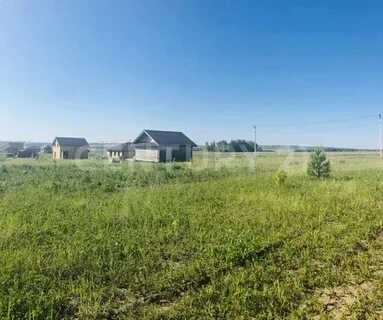Золотая рыбка куюки