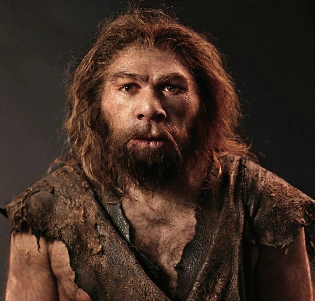 Неандерталец гигант. Неандерталец (homo neanderthalensis). неандерталец (homo neanderthalensis) череп. древние люди - палеоантропы, неандертальцы. хомо сапиенс денисовский человек неандерталец.