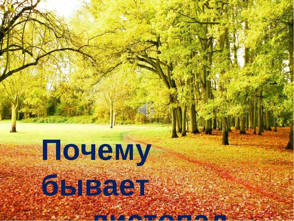 упал охват инстаграмма. цитаты про звезды. причины взлёта и падения отраслей.