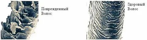 Как определить повреждение волос