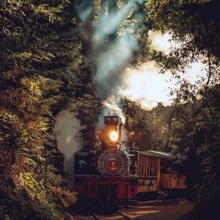 That train