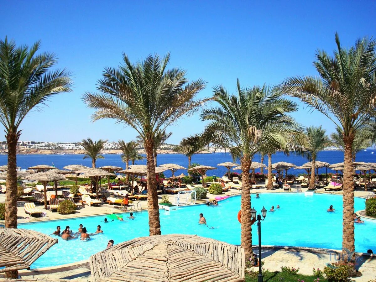 Coral beach rotana. Корал Бич тиран Шарм-Эль-Шейх. Отель в Египте Корал Бич тиран. Coral Beach Tiran Rotana Resort 4. Ротана тиран.