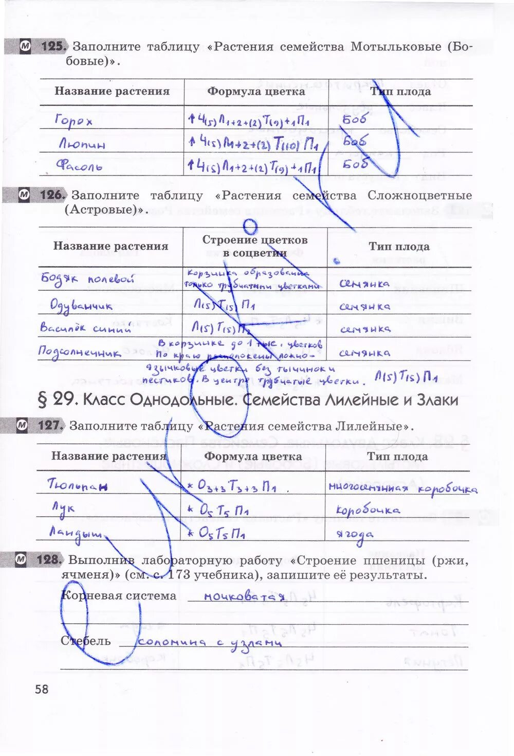 Биология 6 класс рабочая тетрадь страницы. Лабораторная по биологии 6 класс. Биология 6 класс рабочая тетрадь страницы. Биология сонин 6 класс 6 параграф таблица. Биология 6 класс рабочая тетрадь пасечник гдз ответы.