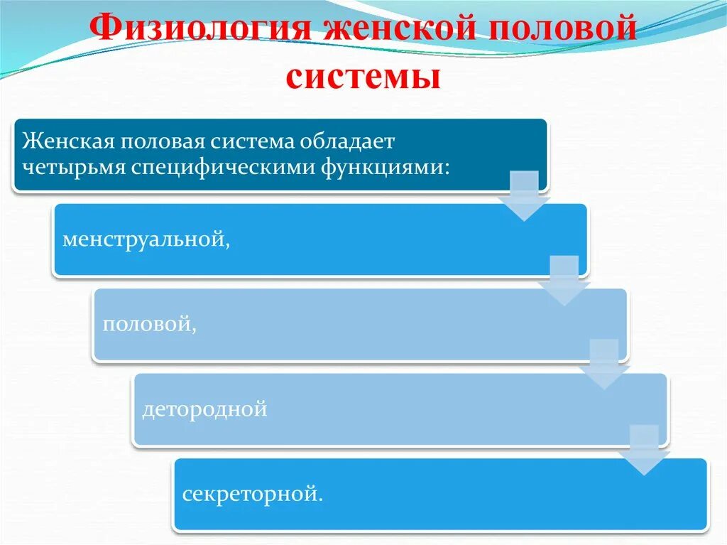 Физиология женской половой системы. Физиология женской половой сферы. Физиология органов женской половой системы.. Женская половая система слайд. Женская половая система 8 класс