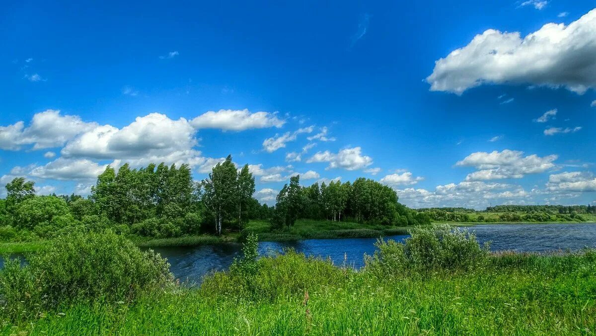 В небе тают облака. Кощино озеро Смоленск. Озеро Купринское Смоленская. Озеро Купринское Смоленская область. Смоленск оз Купринское.