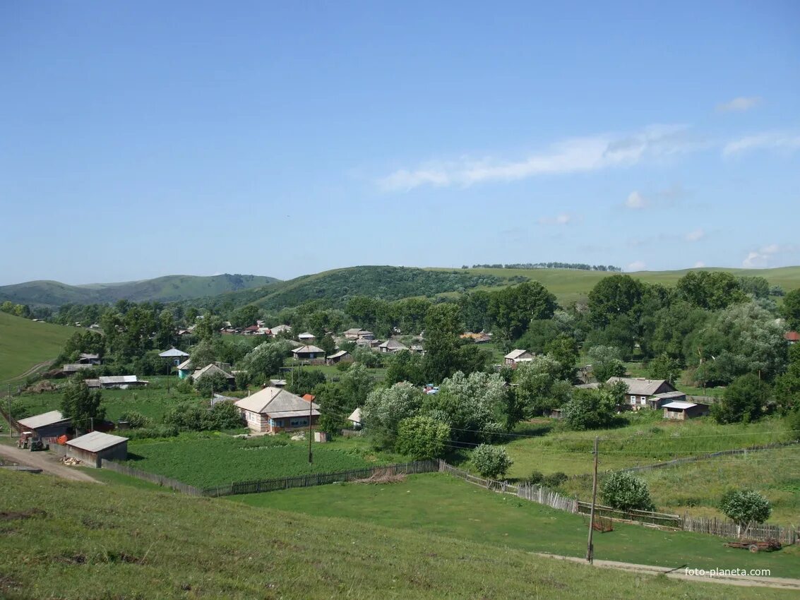 Село Маралиха Алтайский край. Маралиха Алтайский край Чарышский район. Село Маралиха Чарышский район. Маралиха Краснощековского района Алтайского края.