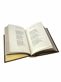 В мире книг стихи