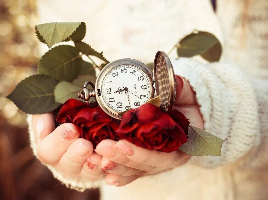 Жизнь безумна красива. Питание на работе. Девушка в офисе перекус. Ежедневными заботами. Часы на руке.