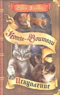 Два в одном книга