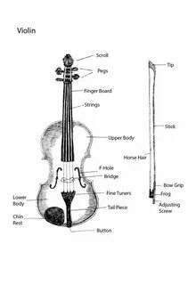 Violin parts