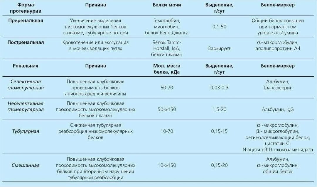 Что повышен в моче при беременности. Белок 0.6 в моче при беременности. Белок 1-2 в моче при беременности. Протеинурия норма г/л у детей. Белок 0.6 г/л в моче.