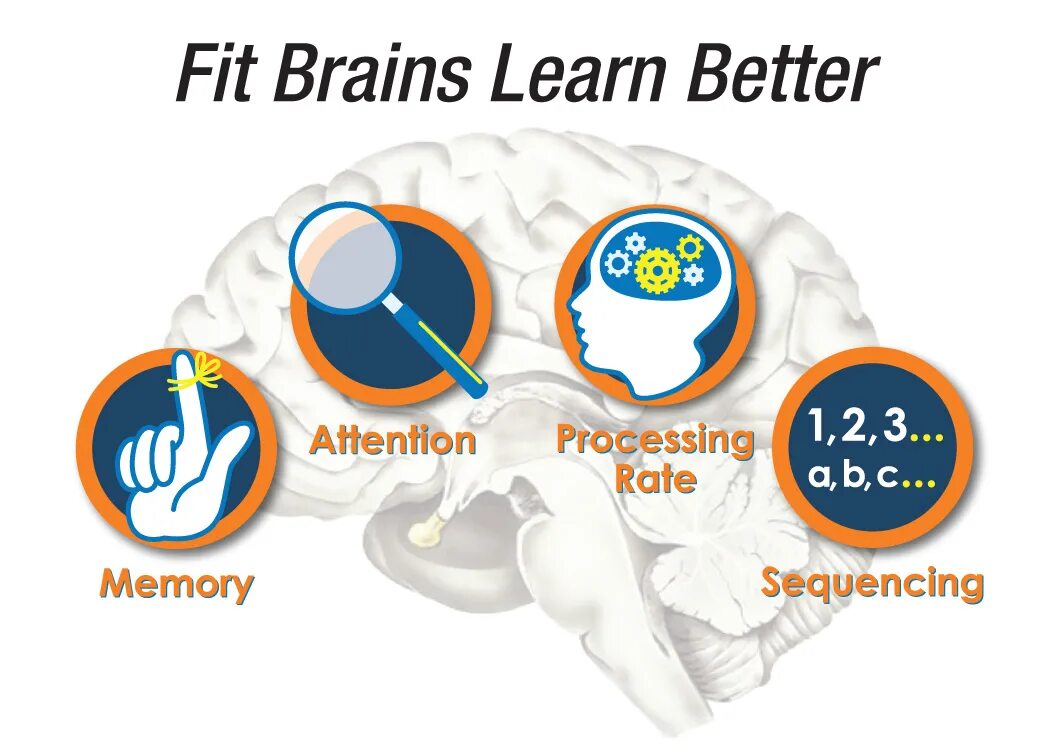 Brain processing. Когнитивные навыки cognitive skills. Когнитивные функции картинки. Когнитивная легкость. Слабые когниции.