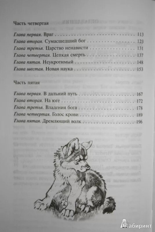 Белый клык содержание. Белый клык содержание