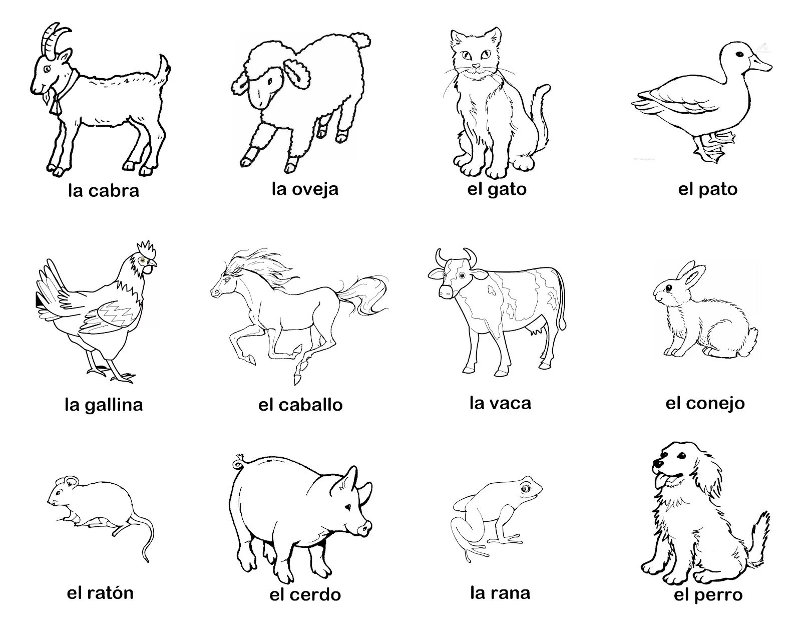 Домашние животные на англ. Рисунки домашних животных. Животные для детей раскраски карточки. Животные на английском для детей раскраска. Домашние животные на английском раскраска.