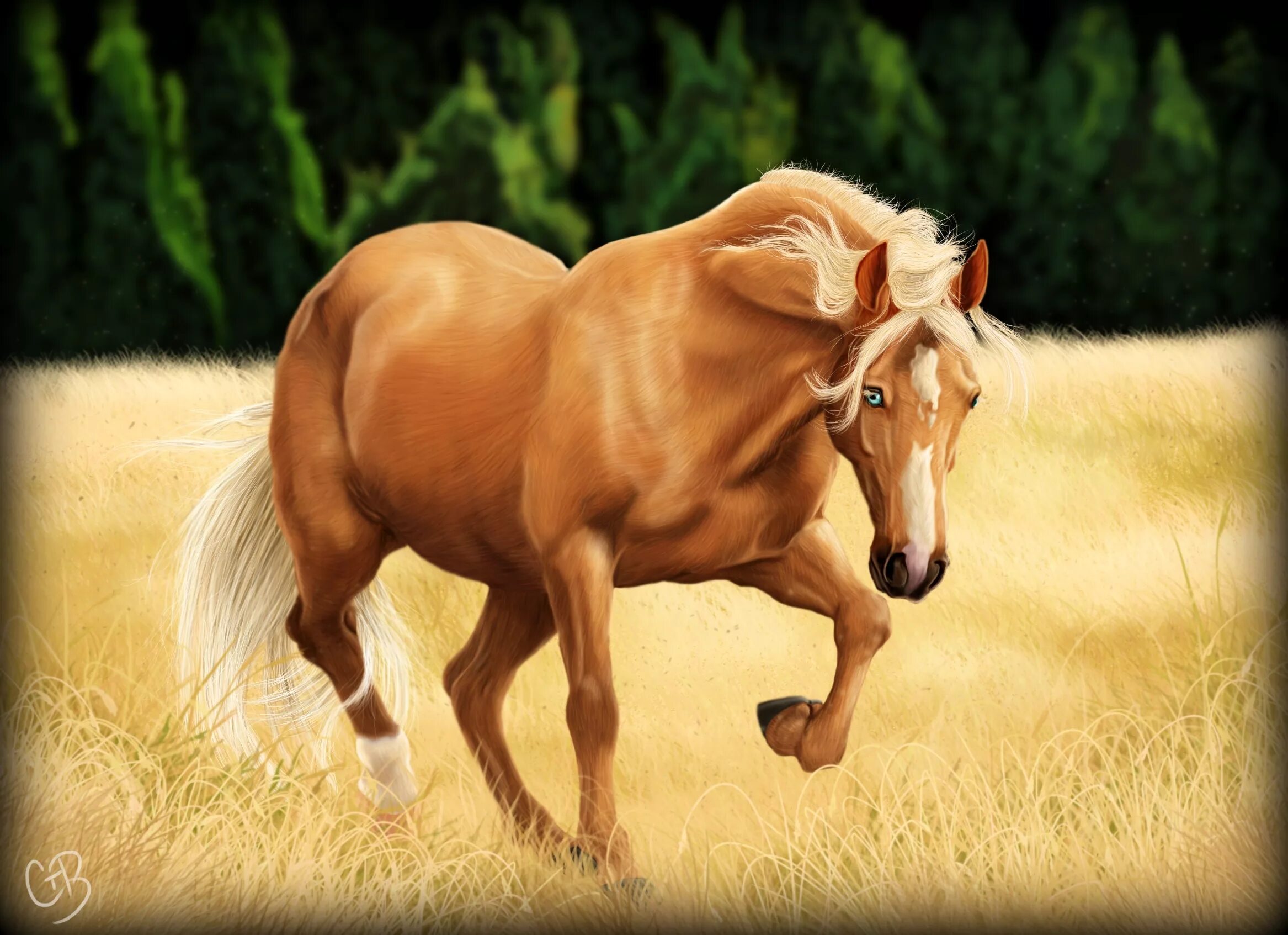 лошадь гнедой мустанг. лошадь рисунок. абиссинская порода лошадей. шайр лошадь. найти про лошадей.