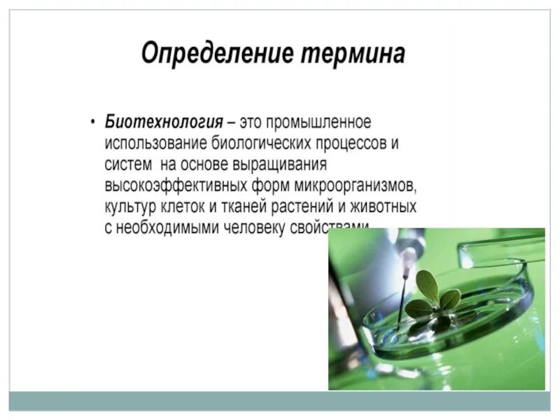 Биотехнологии 8 класс. Биотехнология презентация. Биотехнология это кратко. Понятие биотехнологии. Презентация по биотехнологии.