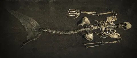 Кости русалки