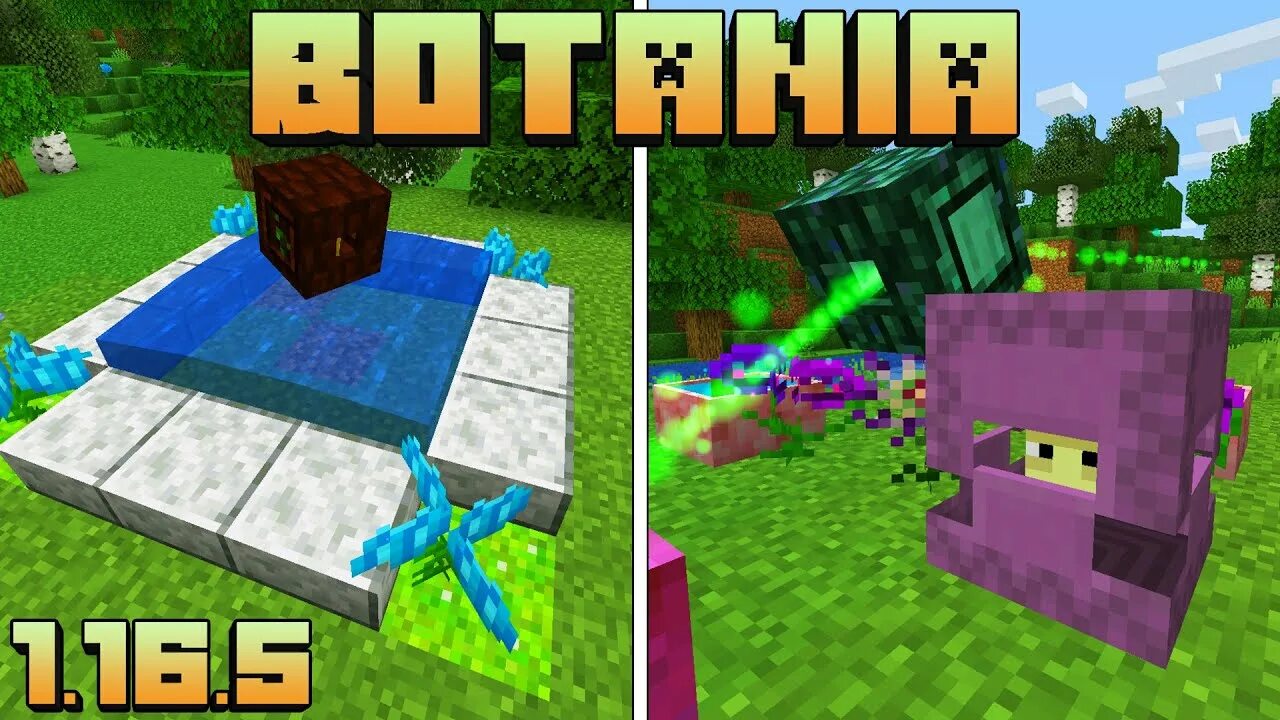 2. Ботания 1. Кокон жизни botania. Водогортензия botania. Botania картинка.