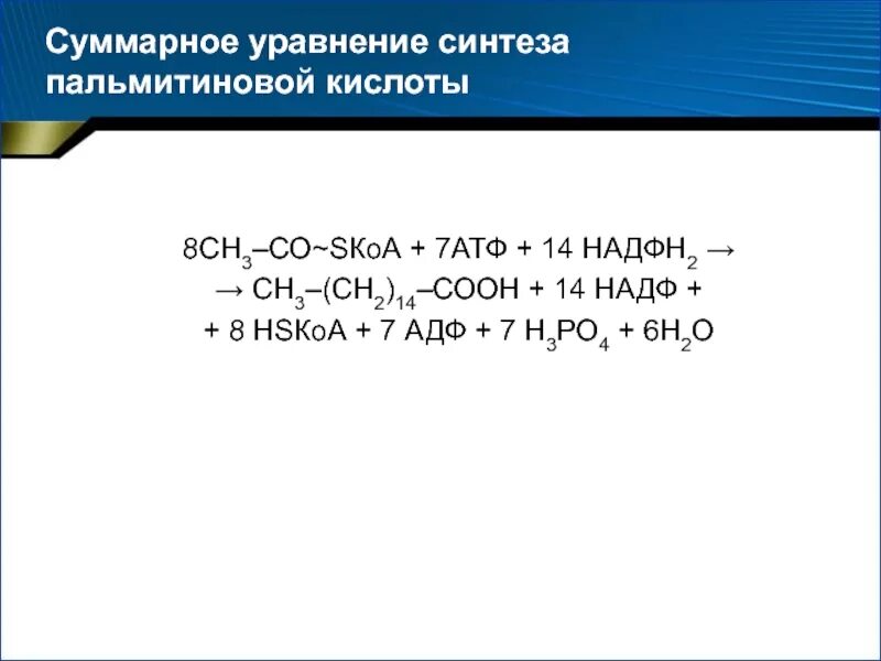 Синтез пальмитиновой. Итоговое уравнение синтеза АТФ. Суммарное уравнение синтеза пальмитиновой кислоты. Суммарное уравнение биосинтеза пальмитиновой кислоты. Суммарное уравнение синтеза стеариновой кислоты.