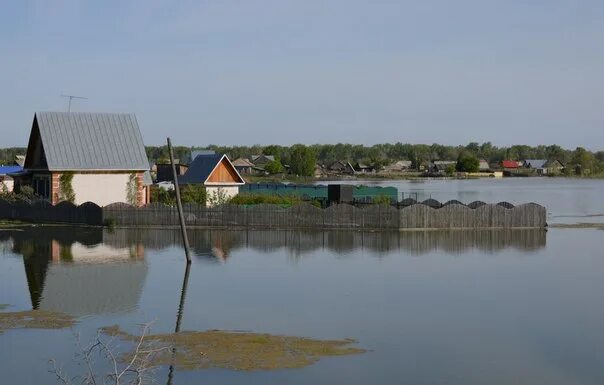 Река Бобровка Алтайский край Первомайский район. Первомайский район село Бобровка. Устье реки Бобровка Алтайский край. Бобровка Первомайского района, Алтайского края затопление.