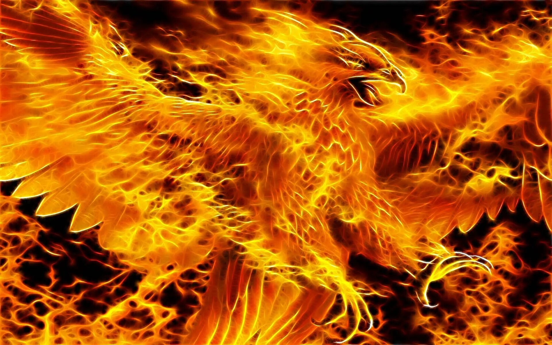 Феникс горячая. Огненный Сокол Рарог. Огненный Феникс Дилюк. Огненный Сокол Рарог символ. Рарог и Феникс.